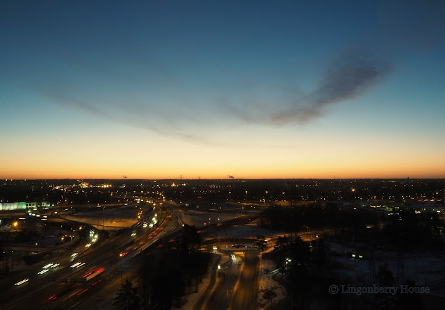 lingonberryhouse, helsinki, capital city, view