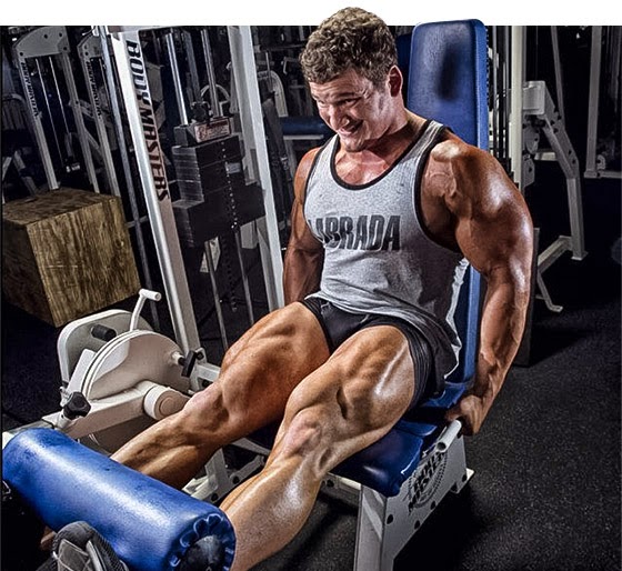 Workout Tips for Bodybuilding Legs – The Fitness Family