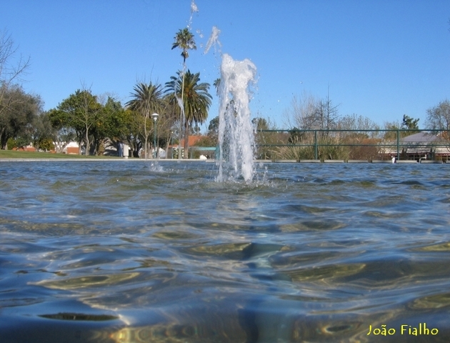 Reflexos no espelho de água do Jardim Público, em Vendas Novas