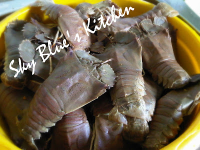 Cara memasak udang lobster  Cara Memasak