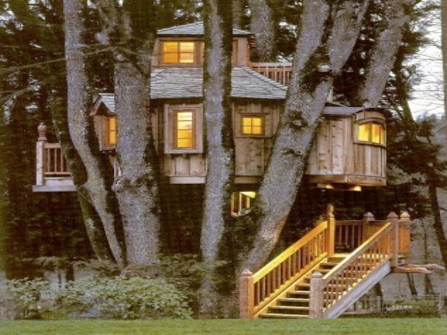 Top 20 Beautiful And Amazing Tree House Wallpapers Pics