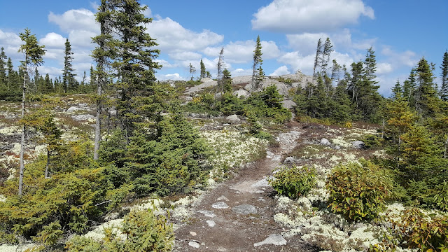 Sentier de retour du mont du Four