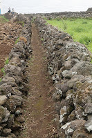 Café Portugal - PASSEIO DE JORNALISTAS nos Açores - Lajes do Pico - Vigia da Queimada