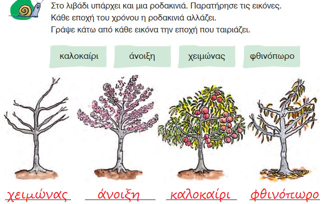 Βόλτα στο βουνό - Άνοιξη - Γλώσσα Α' Δημοτικού - by https://idaskalos.blogspot.gr