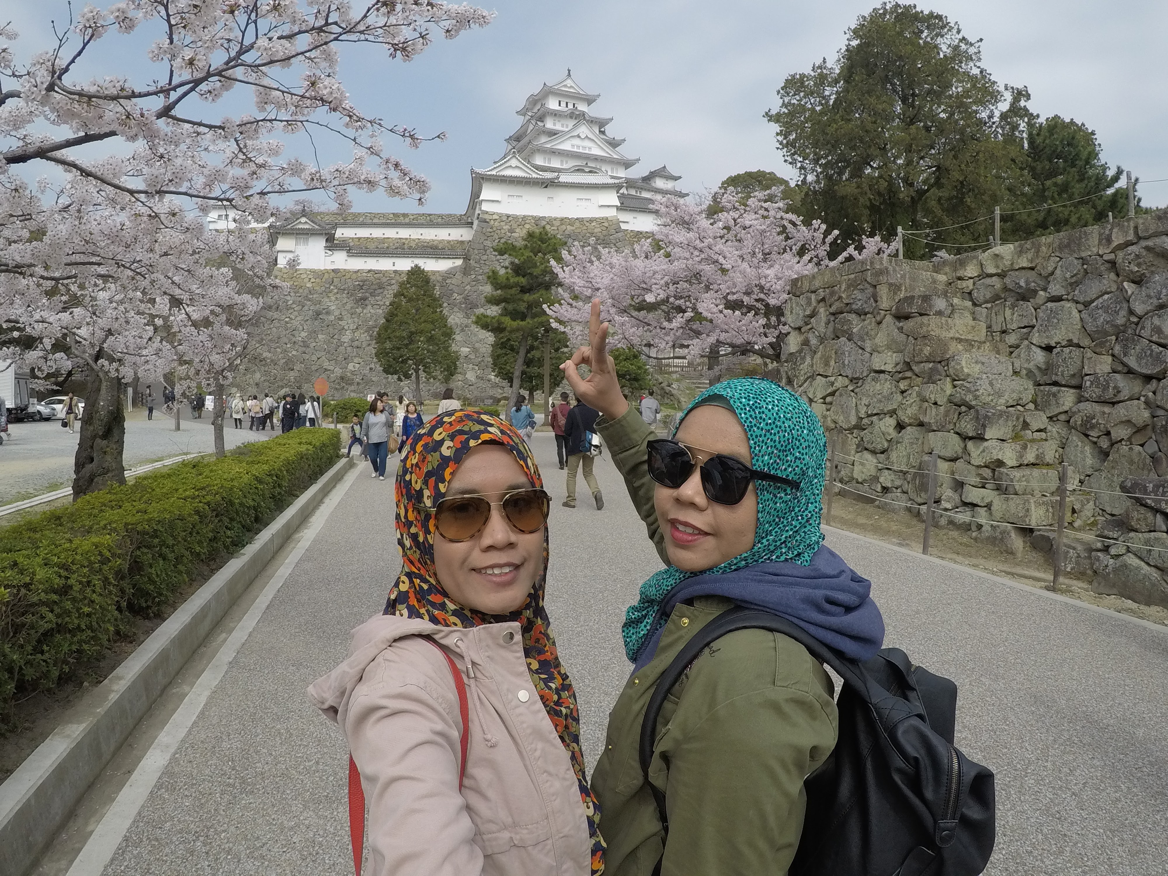 Travelog Japan, Spring: Himeji Castle dan Amanohashidate