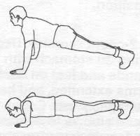 latihan push up