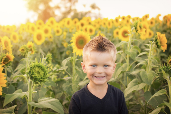 Niño alegre entre grande flores girasoles