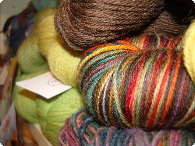 SNC19288_resize