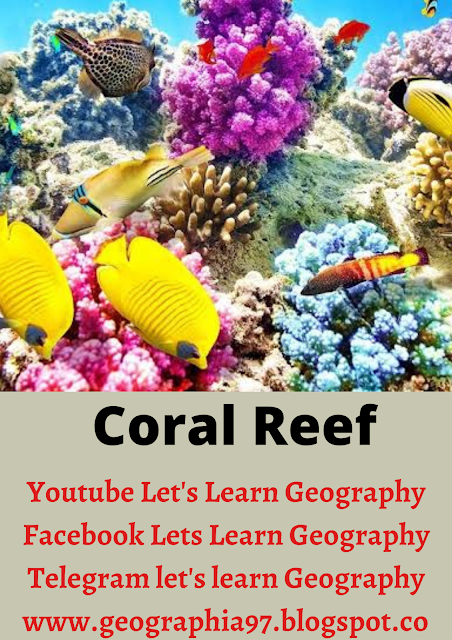 CORAL REEF: LOCATION,THEIR MAJOR TYPES
