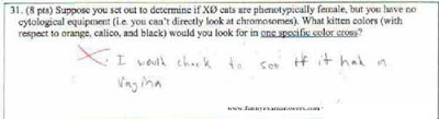 Ingenious Students Answers