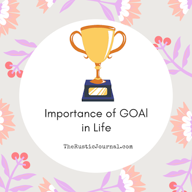 Importance of GOAl in Life