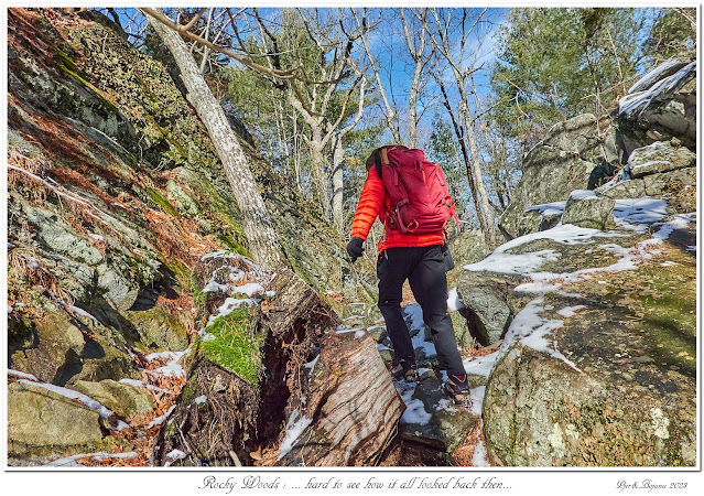 Rocky Woods: ... hard to see how it all looked back then...