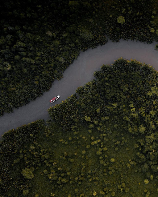 Taman Nasional Tanjung Puting