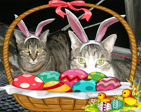 Easter cats