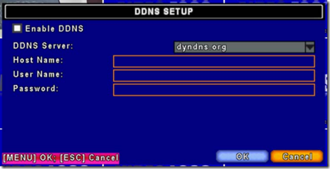 net ddns