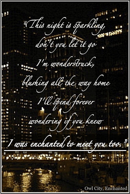 This night is sparkling, don't you let it go I'm wonderstruck, blushing all the way home, I'll spend forever wondering if you knew, I was enchanted to meet you too. Owl City, Enchanted Lyrics (Taylor Swift)