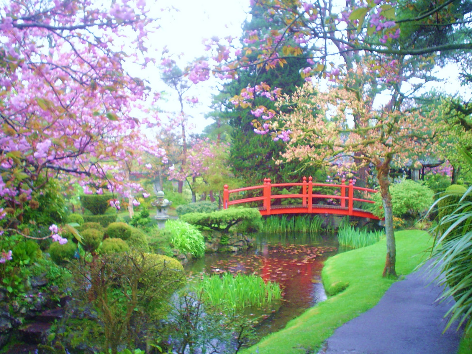 The Vegetarians Abroad: Irish National Stud and Japanese Gardens Tully (County Kildare) Ireland
