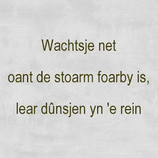 Wachtsje net oant de stoarm foarby is, lear dûnsjen yn 'e rein