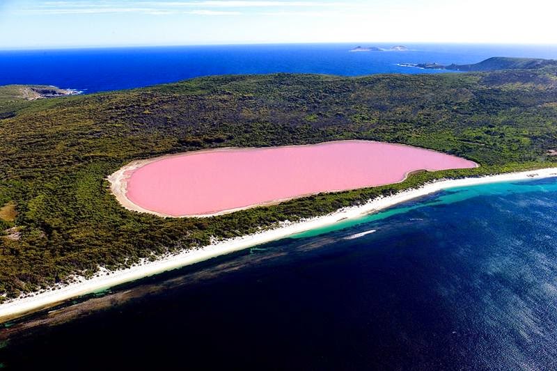 Pink Hillier Lake of Middle island, Australia