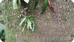 clip_image002[31]