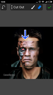 Edit Foto Face Terminator Picsay Pro - Android