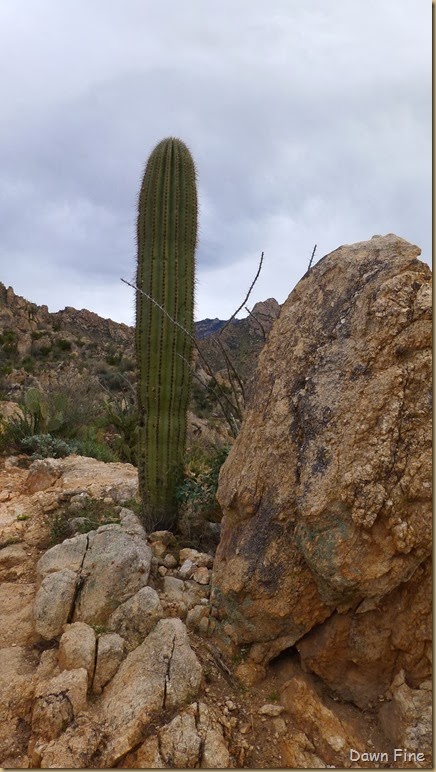 Romero pools hike_008