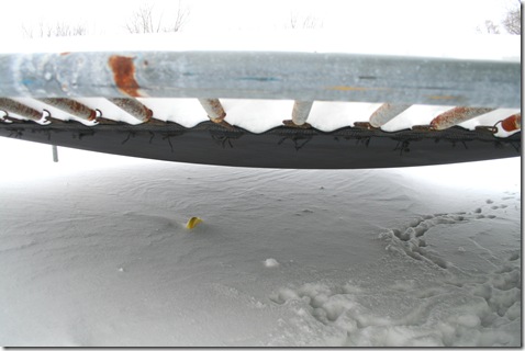 SnowDay-36