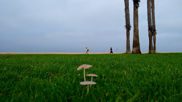 "Perspection" by Omar Cherif - Venice Beach, 2017