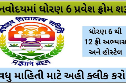 Navoday Admission 2024 Apply 
