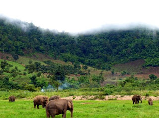 mondulkiri