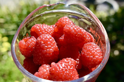 fresh raspberries in glass measuring cup