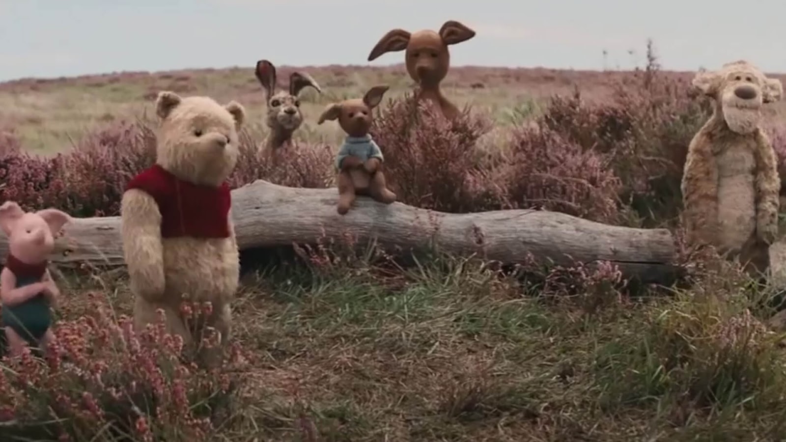 Christopher Robin 2018 HD Wallpapers 1080p ...