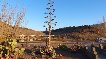 P1010861