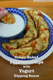 Eggplant chips coated in a seasoned flour batter and baked until crisp. Served with a spiced yogurt dipping sauce for a gluten free vegetarian appetizer