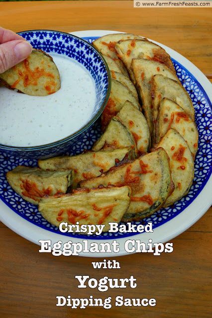 Eggplant chips coated in a seasoned flour batter and baked until crisp. Served with a spiced yogurt dipping sauce for a gluten free vegetarian appetizer