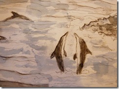 marges dolphins