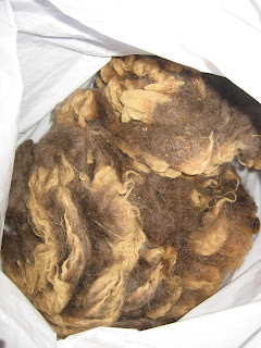 Mocha shetland fleece