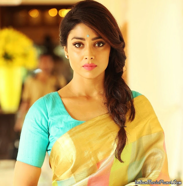 shriya saran beautiful stills saree photo shoot