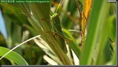 20140814_110740_088_YehLiu