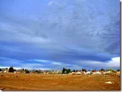 IMG_0009