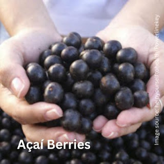 Açaí Berries-healthy food pot in brazil