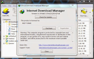 Internet Download Manager