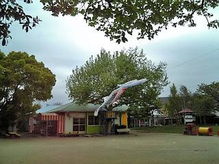 carp stream in a kindergarten