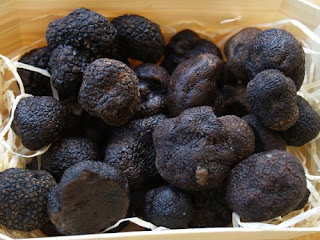 Tuber magnatum - Trufa negra