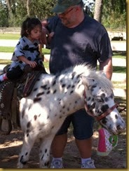 photo 2 (3)