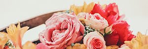 supplier link