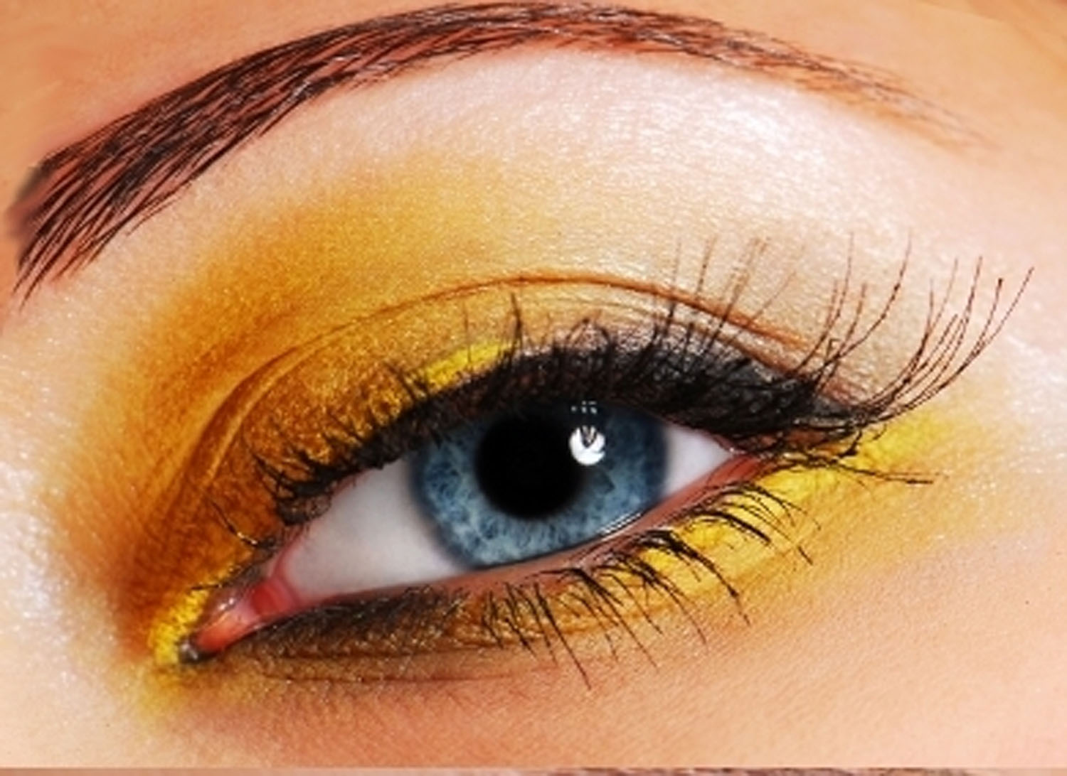 Latest Eyes Makeup Collection Hd Images/Pictures 2013 