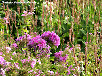 Britzer Garten Spätsommer