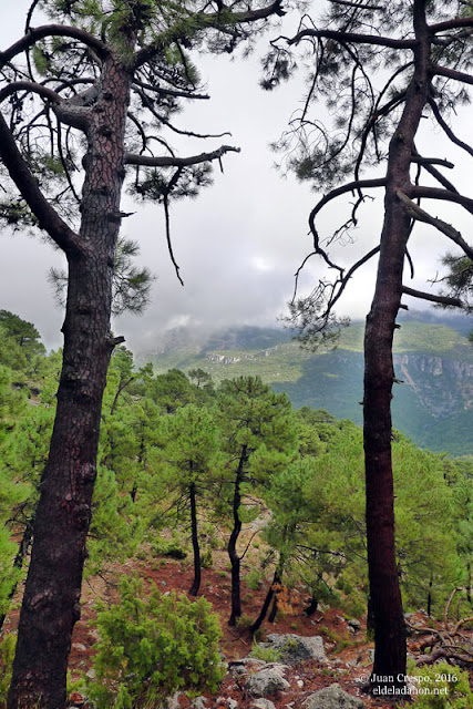 grandes-rutas-hornos-cazorla-eldeladahon.net