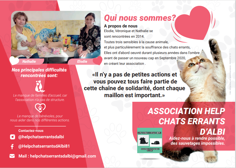 Helps Chats Errants familles d'accueil